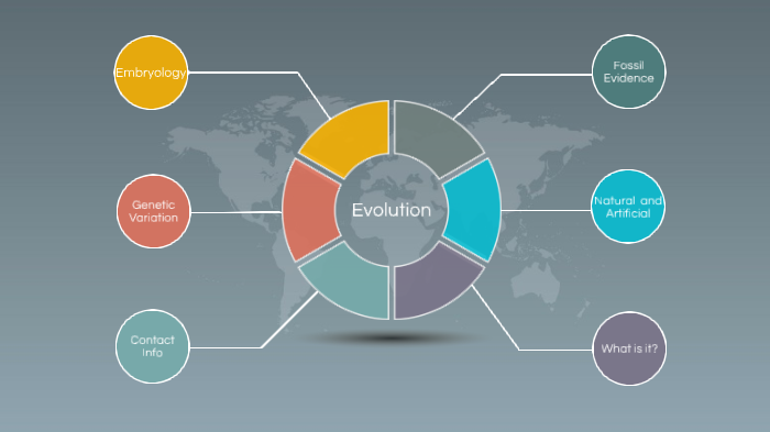 Evolution Mind Map by lexi reed on Prezi