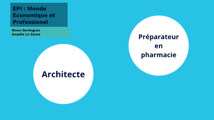 EPI MONDE ECONOMIQUE ET PROFESSIONNEL By Anaelle Le Zause On Prezi