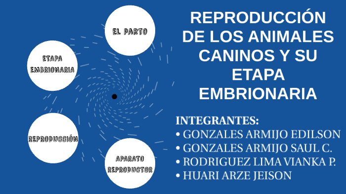 REPRODUCCIÓN DE LOS ANIMALES CANINOS Y SU ETAPA EMBRIONARIA by EDILSON ...