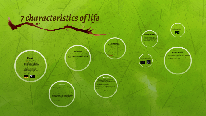 7 Characteristics Of Life By Nicole Trotta