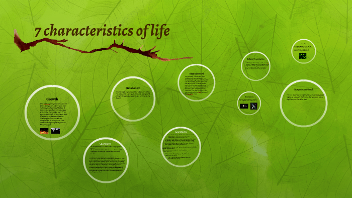 Characteristics Of Life