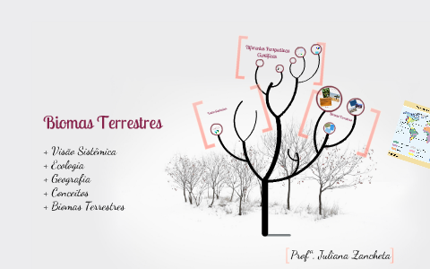 Biomas Terrestres by Juliana Zancheta on Prezi