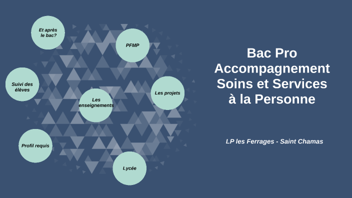 Baccalauréat Professionnel soins et Services à la
