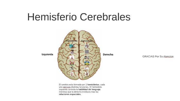 Hemisferio Cerebrales by Francisco René González