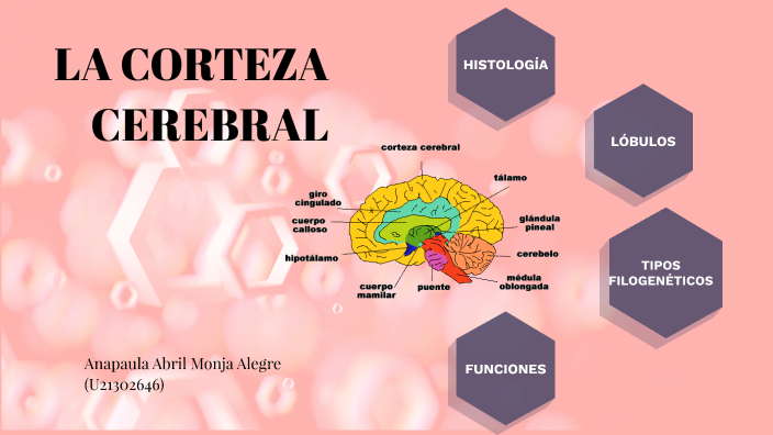 tecnologia practica calificada 2 by Anapaula Monja on Prezi