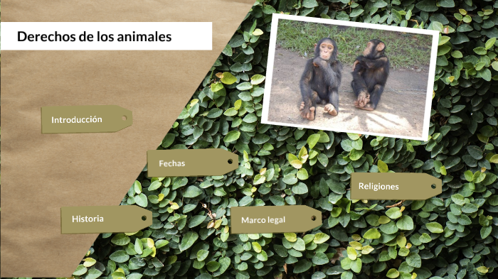 Derechos de los animales by Yahaira Bardales on Prezi