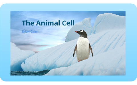 The Animal Cell by Brian Cain on Prezi