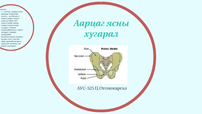 аарцаг ясны хугарал by otgonjargal tseweendorj on Prezi