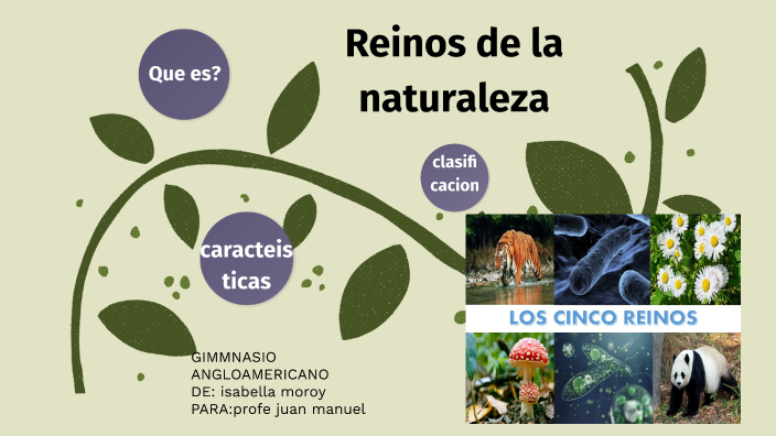 Reinos de la naturaleza by valentina zapata on Prezi