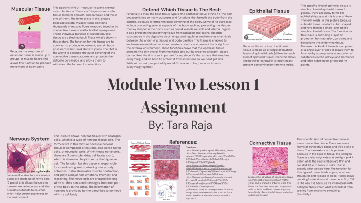 module-two-lesson-1-assignment-by-tara-raja-on-prezi