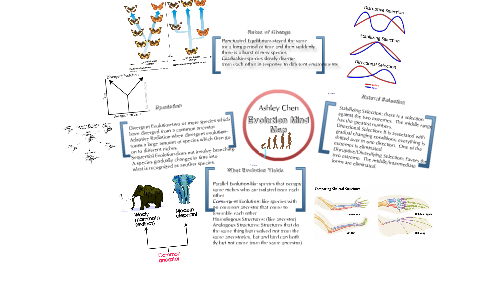 Evolution Mind Map by Ashley Chen on Prezi