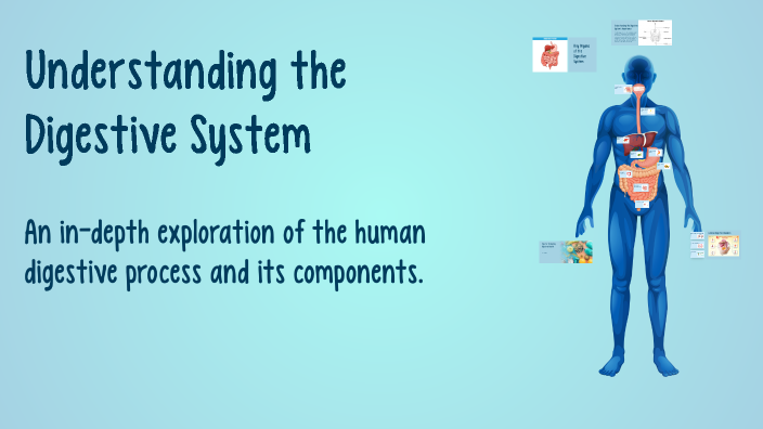 Understanding the Digestive System by Valentin Usturoi on Prezi