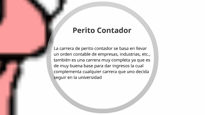 Perito Contador by Kelly Yasmine