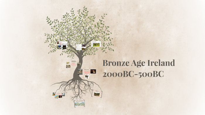 bronze-age-ireland-by-d-lonergan