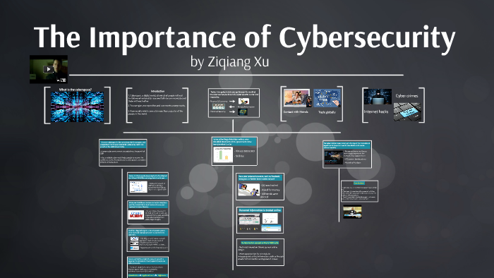 The Importance of Cybersecurity by Leo Xu on Prezi