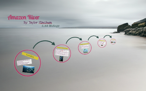 Amazon River by taylor faye on Prezi