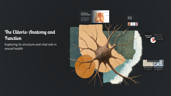 Cletorius The Clitoris: Anatomy and Function by Victória Letícia on Prezi