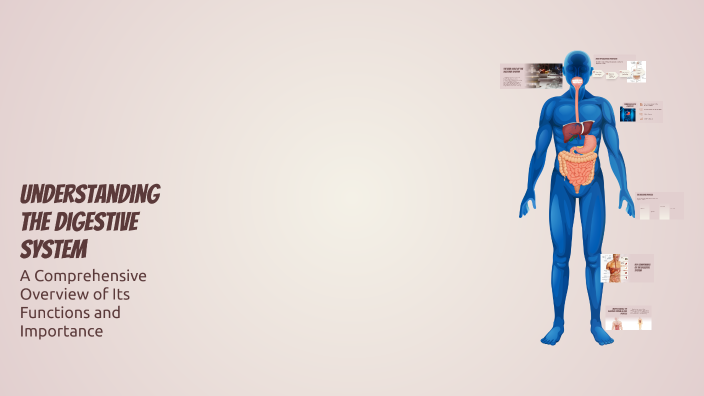 Understanding the Digestive System by Ha̲n̲e̲n̲ Wo̲r̲l̲d̲ on Prezi