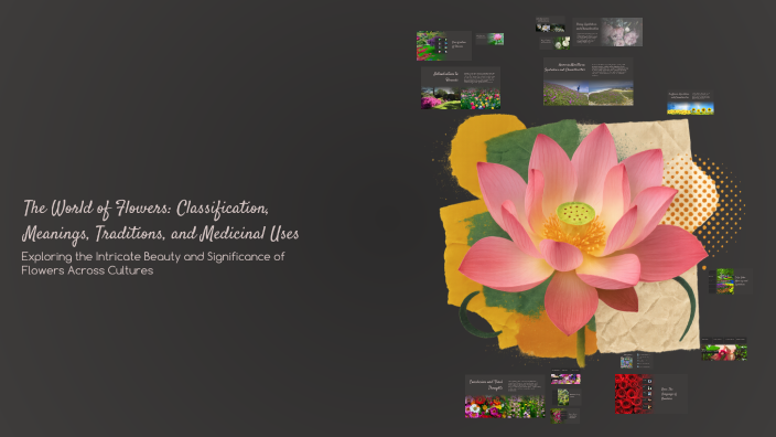 The World of Flowers: Classification, Meanings, Traditions, and ...