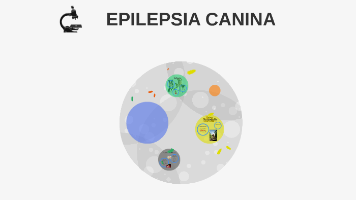 EPILEPSIA CANINA By Maria Iborra On Prezi