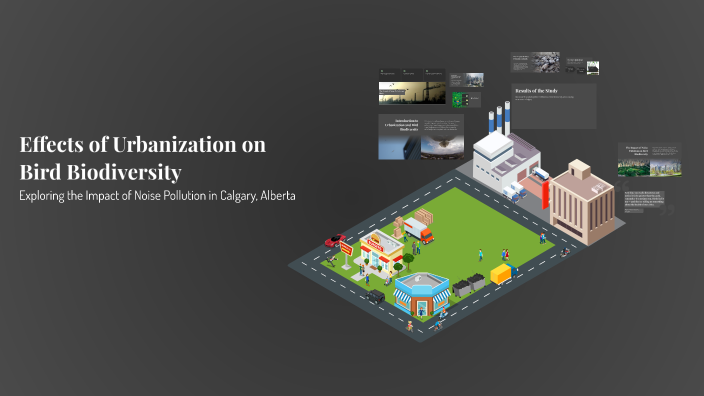 Effects of Urbanization on Bird Biodiversity by Alayna Thiessen on Prezi