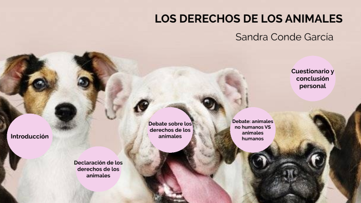 Los Derechos de los Animales by Sandra Conde on Prezi