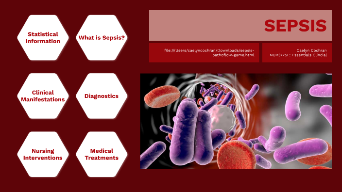 Pathoflow Sepsis Pathoflow Presentation by Caelyn Cochran on Prezi