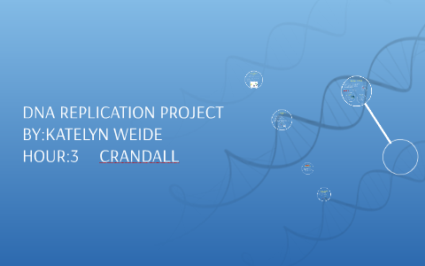 DNA REPICATION PROJECT by Katelyn Weide on Prezi