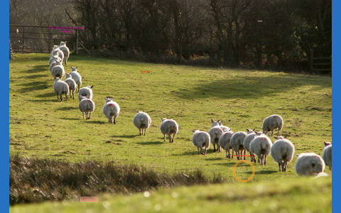 Parable of the lost sheep by Mary Stivers on Prezi