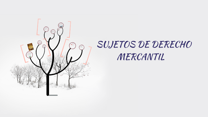 SUJETOS DE DERECHO MERCANTIL By On Prezi