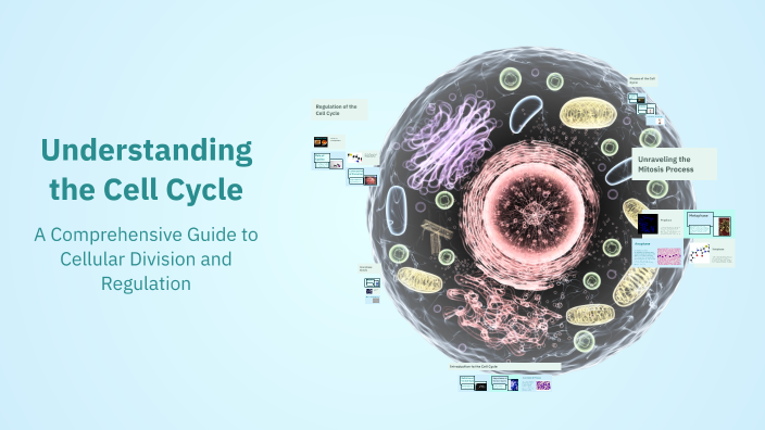 Understanding the Cell Cycle by Asmaa Ahmed on Prezi
