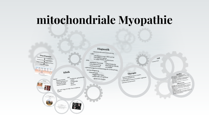 Mitochondriale Myopathie By Katharina Müller On Prezi