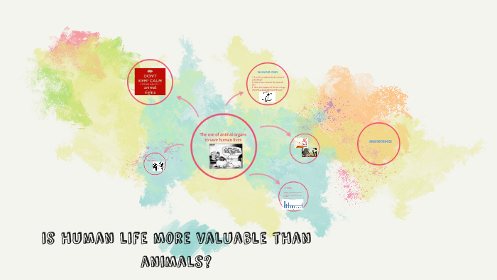 are-human-life-more-valuable-than-animals-by-katie-ko