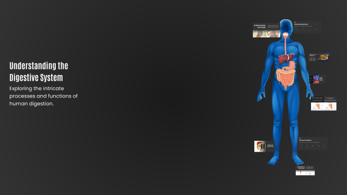 Understanding the Digestive System by Jane Lyca Cornelio on Prezi