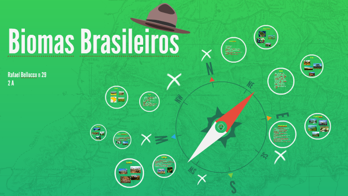 Biomas Brasileiros by Rafael Bellucco on Prezi