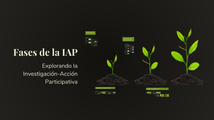 Fases de la IAP by Anahely Pozo on Prezi