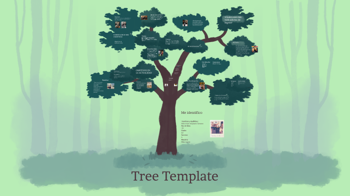 mi proyecto de vida by Edwin Aceytuno on Prezi