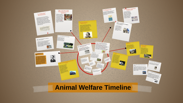 Animal Welfare Timeline By Jason Brenner On Prezi animal-welfare-timeline-by-jason-brenner-on-prezi