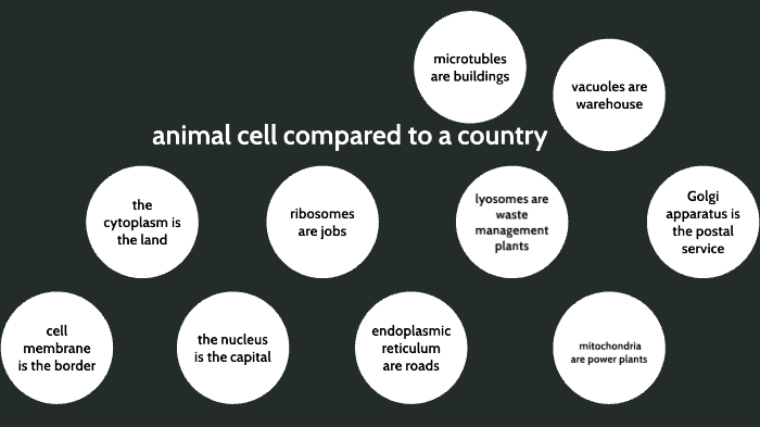 animal cell compared to a country by Login Hoecker on Prezi