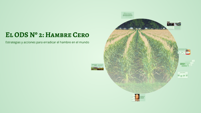 El ODS Nº 2: Hambre Cero by hugo nicolas martinez on Prezi