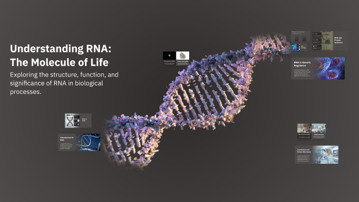 Understanding RNA: The Molecule of Life by Mohammad Rabah on Prezi