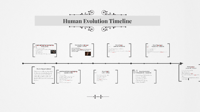 Human Evolution Timeline by Tamires La Monica on Prezi