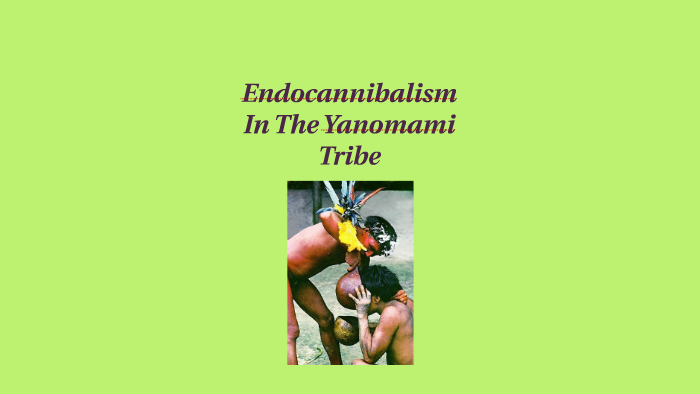 Endocannibalism In The Yanomami Tribe By Clara Ramirez On Prezi