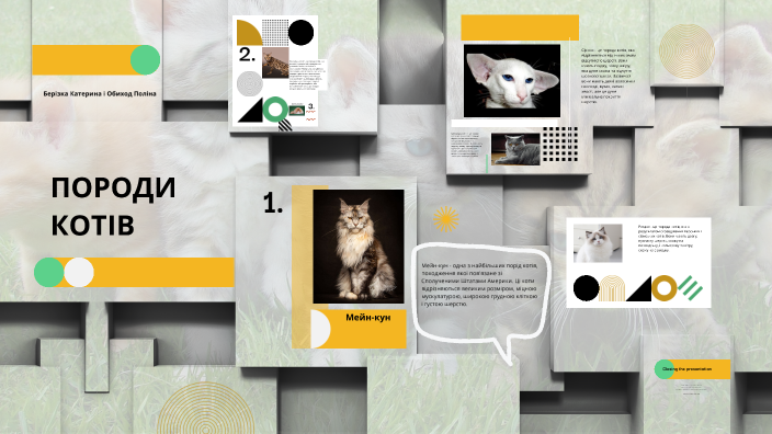 The Fascinating World of Cats by Катерина Іванівна Берізка on Prezi