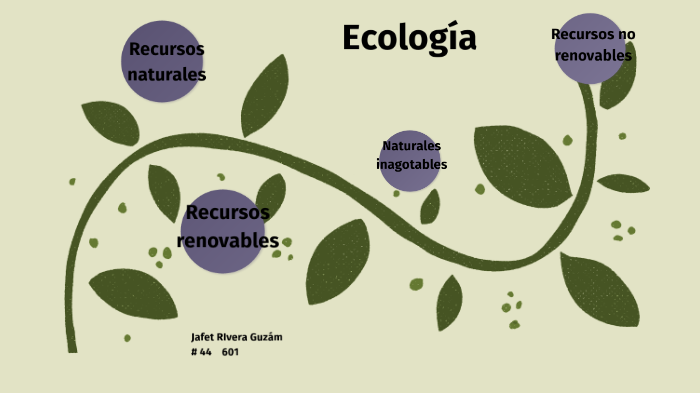 mapa mental y conceptual by jafet rivera