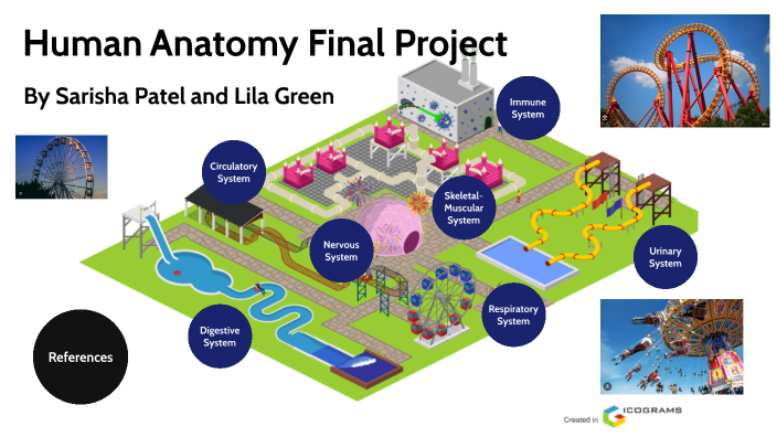 human anatomy prezi presentation