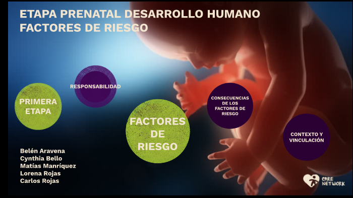 Etapa Prenatal Desarrollo Humano By Lorena Rojas On Prezi 4801