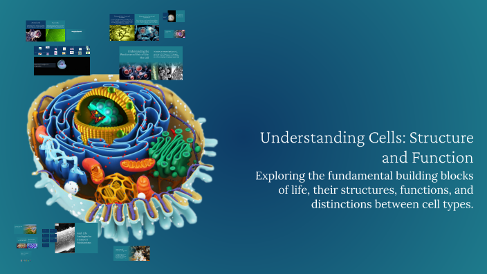 Understanding Cells: Structure and Function by Tiffany Colón González ...