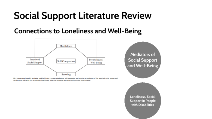 literature review on social service