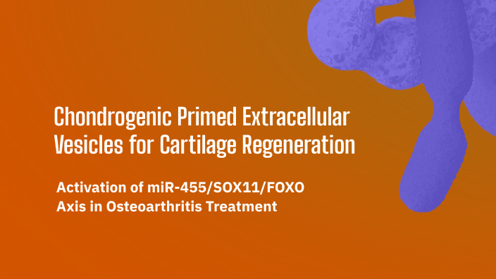 Chondrogenic Primed Extracellular Vesicles for Cartilage Regeneration ...